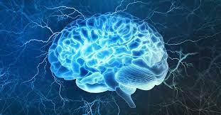 what is neurology