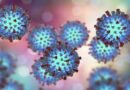 9 deaths due to influenza H3N2 in the country so far-